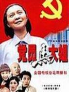 黨員馬大姐劇情介紹(1-20全集)