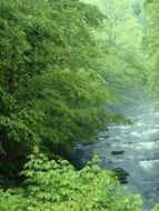 test劇情介紹(1-1全集)