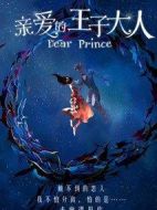 親愛的王子大人劇情介紹(1-19全集)
