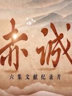 赤誠劇情介紹(1-6全集)