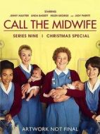 呼叫助產(chǎn)士第九季劇情介紹(1-8全集)