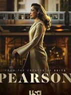 皮爾森劇情介紹(1-10全集)