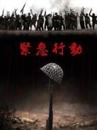 緊急行動(dòng)劇情介紹(1-33全集)