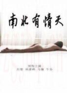 南北有情天海報(bào)
