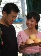 退伍也是兵劇情介紹(1-20全集)