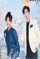 騎著魚的貓劇情介紹(1-24全集)