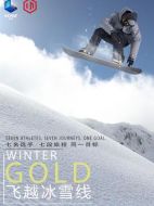 飛越冰雪線劇情介紹(1-6全集)