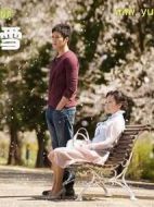 八月下的雪劇情介紹(1-20全集)