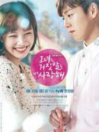 她愛上了我的謊海報(bào)