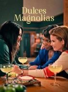 甜木蘭劇情介紹(1-10全集)