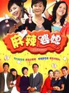 麻辣婆媳劇情介紹(1-20全集)