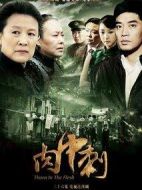 獨刺劇情介紹(1-36全集)