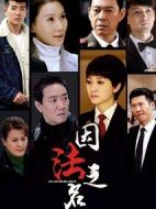 因法之名劇情介紹(1-45全集)