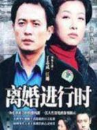 離婚進行時劇情介紹(1-20全集)