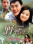 野鴨子劇情介紹(1-26全集)