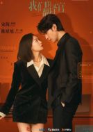 我們的翻譯官劇情介紹(1-36全集)