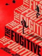 亡命天涯劇情介紹(1-14全集)