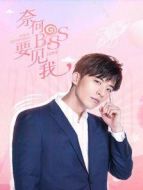 奈何boss要見我海報