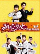 旋風(fēng)少女 VIP青春典藏版
