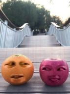 水果會說話劇情介紹(1-33全集)