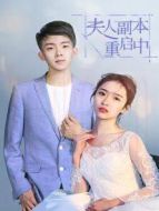 夫人副本重啟中劇情介紹(1-42全集)