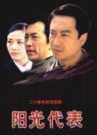 陽光代表劇情介紹(1-20全集)