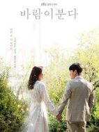 風(fēng)在吹劇情介紹(1-16全集)