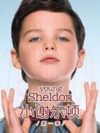 小謝爾頓 第一季劇情介紹(1-22全集)