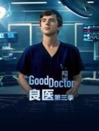 良醫(yī) 第三季劇情介紹(1-20全集)