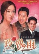 兼并劇情介紹(1-30全集)