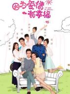 因為愛情有幸福之二劇情介紹(1-34全集)