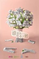 誰說我結(jié)不了婚劇情介紹(1-40全集)