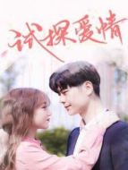 試探愛情劇情介紹(1-51全集)