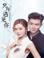 機(jī)智的戀愛生活 速享版劇情介紹(1-32全集)