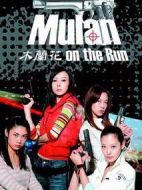 木蘭花劇情介紹(1-28全集)