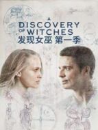發(fā)現(xiàn)女巫 第一季劇情介紹(1-8全集)