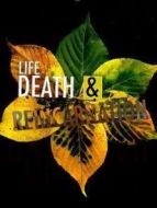 生死與輪回