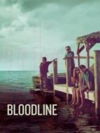 至親血統(tǒng)劇情介紹(1-13全集)