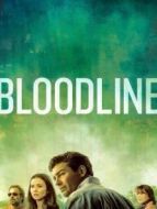 至親血統(tǒng) 第三季劇情介紹(1-10全集)