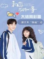 初戀那件小事·梁又年倒追記