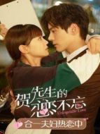 賀先生的戀戀不忘 合一夫婦熱戀中劇情介紹(1-14全集)