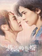 謊言使用法則 越南語(yǔ)版劇情介紹(1-5全集)