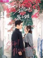 站住！花小姐 越南語(yǔ)版