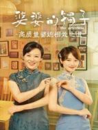 婆婆的鐲子 高質(zhì)量婆媳相處之道劇情介紹(1-12全集)