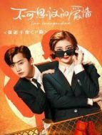 不可思議的愛(ài)情 議諾千金CP版