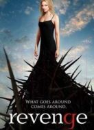 復(fù)仇第1季劇情介紹(1-22全集)
