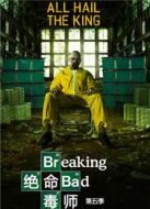 絕命毒師第5季劇情介紹(1-16全集)