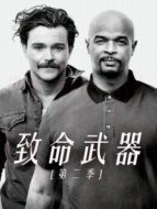 致命武器 第二季劇情介紹(1-22全集)