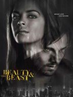 俠膽雄獅 第4季劇情介紹(1-13全集)