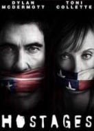 人質(zhì)第1季劇情介紹(1-15全集)